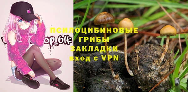 марки lsd Абаза