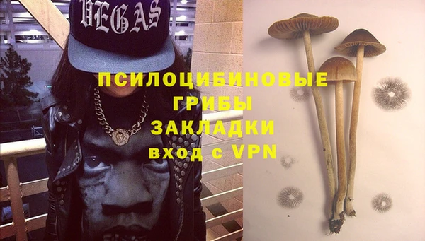 синтетический гашиш Алексеевка