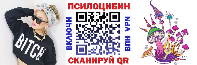 Псилоцибиновые грибы мицелий  blacksprut   Далматово 